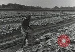 Image of United States soldiers Guadalcanal Solomon Islands, 1944, second 23 stock footage video 65675074684