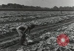 Image of United States soldiers Guadalcanal Solomon Islands, 1944, second 24 stock footage video 65675074684