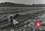 Image of United States soldiers Guadalcanal Solomon Islands, 1944, second 25 stock footage video 65675074684