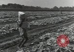 Image of United States soldiers Guadalcanal Solomon Islands, 1944, second 26 stock footage video 65675074684