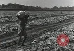 Image of United States soldiers Guadalcanal Solomon Islands, 1944, second 27 stock footage video 65675074684