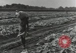 Image of United States soldiers Guadalcanal Solomon Islands, 1944, second 28 stock footage video 65675074684