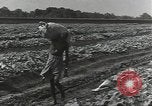 Image of United States soldiers Guadalcanal Solomon Islands, 1944, second 29 stock footage video 65675074684