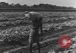 Image of United States soldiers Guadalcanal Solomon Islands, 1944, second 30 stock footage video 65675074684