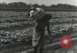 Image of United States soldiers Guadalcanal Solomon Islands, 1944, second 32 stock footage video 65675074684