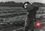 Image of United States soldiers Guadalcanal Solomon Islands, 1944, second 33 stock footage video 65675074684