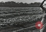 Image of United States soldiers Guadalcanal Solomon Islands, 1944, second 34 stock footage video 65675074684
