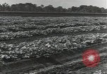 Image of United States soldiers Guadalcanal Solomon Islands, 1944, second 35 stock footage video 65675074684