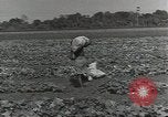 Image of United States soldiers Guadalcanal Solomon Islands, 1944, second 37 stock footage video 65675074684