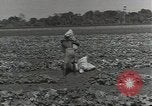 Image of United States soldiers Guadalcanal Solomon Islands, 1944, second 38 stock footage video 65675074684