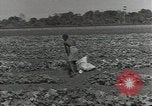 Image of United States soldiers Guadalcanal Solomon Islands, 1944, second 39 stock footage video 65675074684