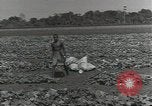 Image of United States soldiers Guadalcanal Solomon Islands, 1944, second 40 stock footage video 65675074684