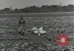 Image of United States soldiers Guadalcanal Solomon Islands, 1944, second 41 stock footage video 65675074684