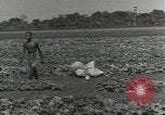 Image of United States soldiers Guadalcanal Solomon Islands, 1944, second 42 stock footage video 65675074684
