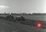 Image of American soldiers Guadalcanal Solomon Islands, 1944, second 30 stock footage video 65675074687