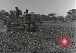 Image of American soldiers Guadalcanal Solomon Islands, 1944, second 36 stock footage video 65675074687