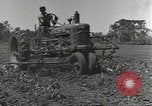 Image of American soldiers Guadalcanal Solomon Islands, 1944, second 39 stock footage video 65675074687