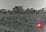 Image of American soldiers Guadalcanal Solomon Islands, 1944, second 45 stock footage video 65675074687