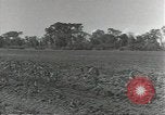 Image of American soldiers Guadalcanal Solomon Islands, 1944, second 46 stock footage video 65675074687