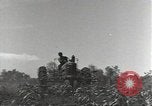 Image of American soldiers Guadalcanal Solomon Islands, 1944, second 48 stock footage video 65675074687