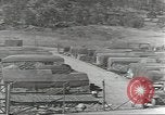 Image of Quartermaster Depot Guadalcanal Solomon Islands, 1944, second 6 stock footage video 65675074688