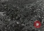 Immagine di Soldati statunitensi Guadalcanal nelle Isole Salomone, 1944, secondo 6 filmato di repertorio 65675074689