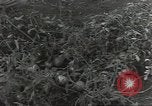 Immagine di Soldati statunitensi Guadalcanal nelle Isole Salomone, 1944, secondo 7 filmato di repertorio 65675074689