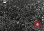 Immagine di Soldati statunitensi Guadalcanal nelle Isole Salomone, 1944, secondo 9 filmato di repertorio 65675074689
