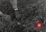 Immagine di Soldati statunitensi Guadalcanal nelle Isole Salomone, 1944, secondo 13 filmato di repertorio 65675074689