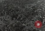 Immagine di Soldati statunitensi Guadalcanal nelle Isole Salomone, 1944, secondo 18 filmato di repertorio 65675074689