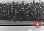 Immagine di Soldati statunitensi Guadalcanal nelle Isole Salomone, 1944, secondo 21 filmato di repertorio 65675074689