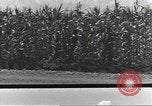 Immagine di Soldati statunitensi Guadalcanal nelle Isole Salomone, 1944, secondo 22 filmato di repertorio 65675074689