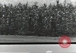 Immagine di Soldati statunitensi Guadalcanal nelle Isole Salomone, 1944, secondo 23 filmato di repertorio 65675074689