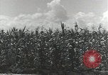 Immagine di Soldati statunitensi Guadalcanal nelle Isole Salomone, 1944, secondo 27 filmato di repertorio 65675074689
