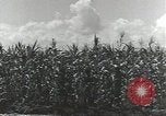 Immagine di Soldati statunitensi Guadalcanal nelle Isole Salomone, 1944, secondo 28 filmato di repertorio 65675074689