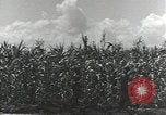 Immagine di Soldati statunitensi Guadalcanal nelle Isole Salomone, 1944, secondo 33 filmato di repertorio 65675074689
