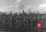 Immagine di Soldati statunitensi Guadalcanal nelle Isole Salomone, 1944, secondo 34 filmato di repertorio 65675074689