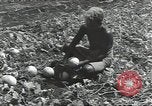Immagine di Soldati statunitensi Guadalcanal nelle Isole Salomone, 1944, secondo 52 filmato di repertorio 65675074689