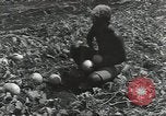 Immagine di Soldati statunitensi Guadalcanal nelle Isole Salomone, 1944, secondo 53 filmato di repertorio 65675074689