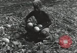 Immagine di Soldati statunitensi Guadalcanal nelle Isole Salomone, 1944, secondo 54 filmato di repertorio 65675074689