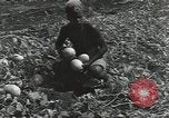 Immagine di Soldati statunitensi Guadalcanal nelle Isole Salomone, 1944, secondo 55 filmato di repertorio 65675074689