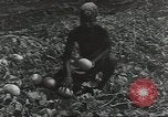 Immagine di Soldati statunitensi Guadalcanal nelle Isole Salomone, 1944, secondo 56 filmato di repertorio 65675074689