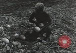 Immagine di Soldati statunitensi Guadalcanal nelle Isole Salomone, 1944, secondo 57 filmato di repertorio 65675074689