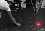 Image of USAAC mechanics perform maintenance on P-40 and P-400 airplanes Guadalcanal Solomon Islands, 1943, second 24 stock footage video 65675074690