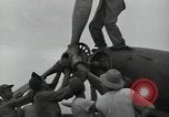 Image of USAAC mechanics perform maintenance on P-40 and P-400 airplanes Guadalcanal Solomon Islands, 1943, second 62 stock footage video 65675074690