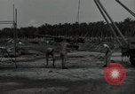 Image of P-40 Warhawk fighter Guadalcanal Solomon Islands, 1943, second 5 stock footage video 65675074691