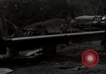 Image of P-40 Warhawk fighter Guadalcanal Solomon Islands, 1943, second 20 stock footage video 65675074691