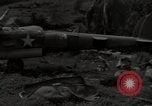 Image of P-40 Warhawk fighter Guadalcanal Solomon Islands, 1943, second 24 stock footage video 65675074691