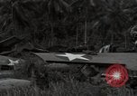 Image of P-40 Warhawk fighter Guadalcanal Solomon Islands, 1943, second 30 stock footage video 65675074691
