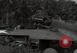 Image of P-40 Warhawk fighter Guadalcanal Solomon Islands, 1943, second 32 stock footage video 65675074691